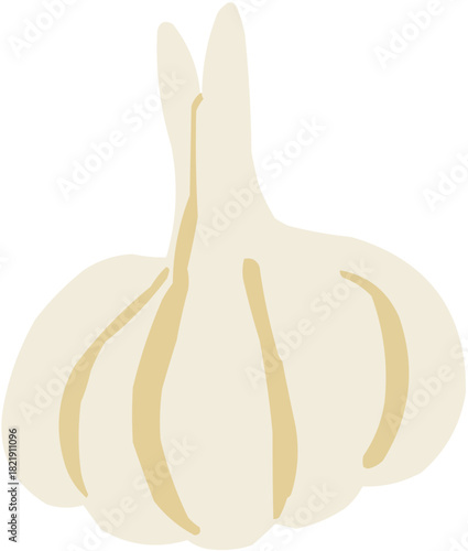 Ail Illustration vectorielle colorée d'un fruit  ou d'un légume.. Parfait pour jus, smoothies, cocktails, emballage de produits estivaux ou recettes de cuisine..