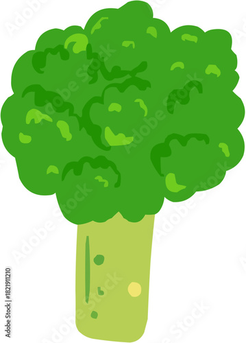 Broccoli Illustration vectorielle colorée d'un fruit  ou d'un légume.. Parfait pour jus, smoothies, cocktails, emballage de produits estivaux ou recettes de cuisine..