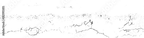 Black abstract cracks and speckles on white background vector