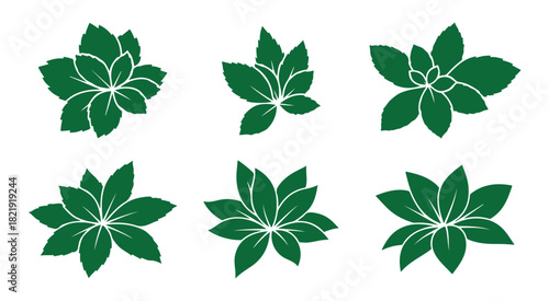 Collection of diverse green leaf vector icons, perfect for nature, organic, and eco-friendly designs.
