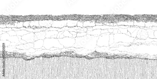 Black and white abstract textured background with cracked surface and vertical lines vector