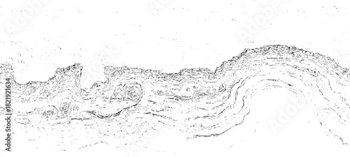 Black and white abstract swirling lines and textures vector