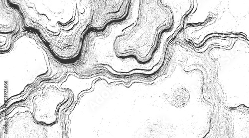 Black and white abstract topographic map lines forming organic shapes and textures background