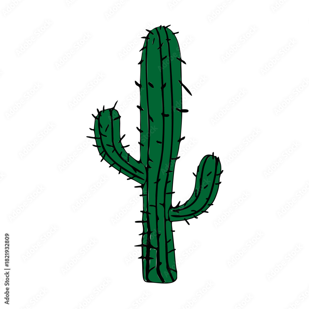 Naklejka premium Green macro close-up of a healthy cactus plant isolated on white background with fresh green leaves