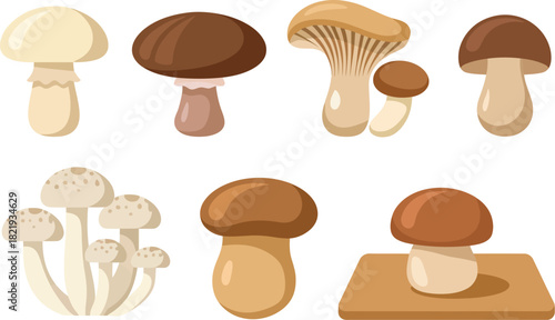 Mushroom Medley A Row of Creamy, Brown, and Tan Fungi Delights