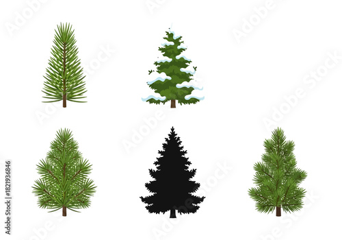 Set of Pine Trees and Evergreen Conifers in Various Styles, Including Snowy and Silhouette Representations