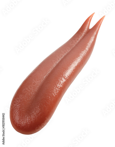 Forked tongue with a split tip and sleek, slender shape.