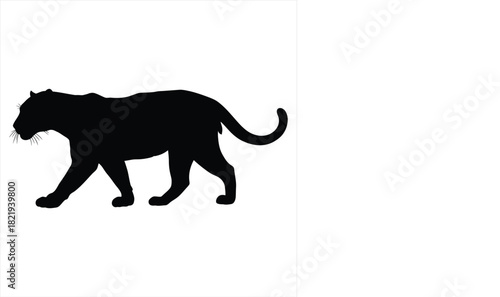 Black panther silhouette walking isolated on white background vector illustration