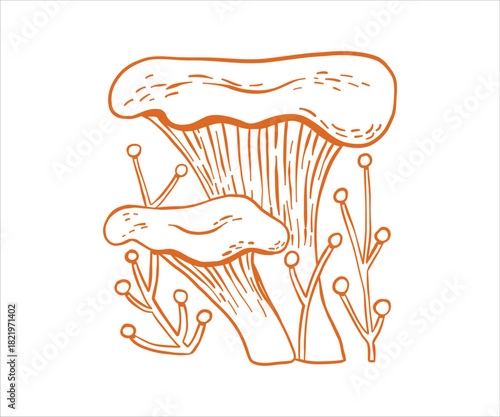 A whimsical autumn illustration mushroom drawn in a gentle doodle outline, blending floral forest details with a soft vintage mood that feels both natural and slightly fantastical.