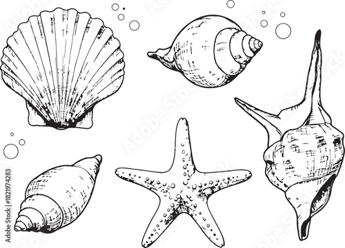 Sea shells and starfish pattern illustration with ocean and beach elements