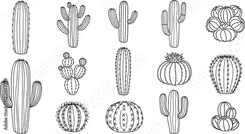 Hand-Drawn Line Art Vector Collection of Various Desert Cacti, Including Saguaro, Barrel, and Prickly Pear Shapes, Ideal for Southwestern Design.