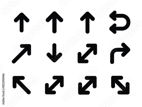 Illustration of twelve black arrows pointing in different directions