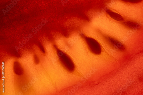 Obraz na plátně Macro close-up of a cherry tomato interior with seeds and juicy pulp