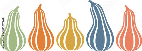 Five elongated gourds in pastel colors arranged horizontally on a white background Keywords: gourd, squash, butternut squash, pumpkin, autumn, fall, harvest, vegetable, on transparent background