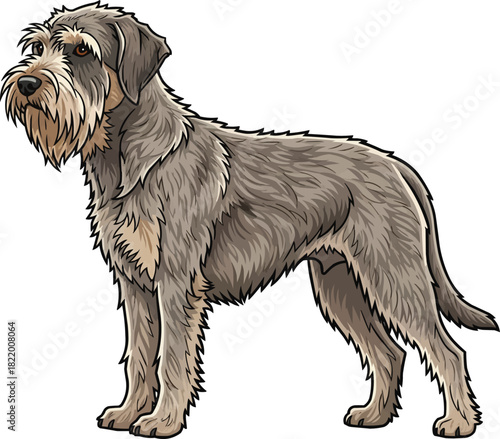 Griffon Nivernais dog standing side profile view looking away 