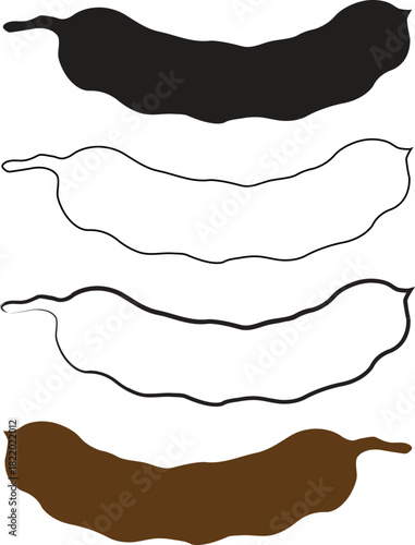 Tamarind pods illustration showing different drawing stages, from colored to outline