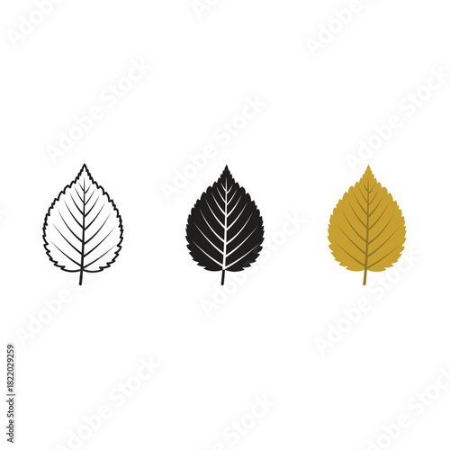 Beech Leaf Vector Set – Outline, Silhouette and Colored Versions, Autumn Beech Tree Leaf Botanical Collection, Beech Leaf Trio Nature Illustration