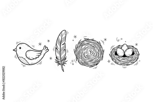 Hand-drawn bird, feather, nest, and eggs illustration on white background