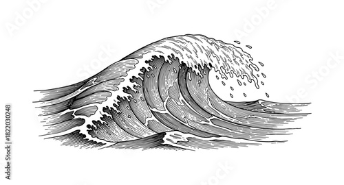 Intricate line art of ocean wave captures the beauty and power of the sea in dynamic curves