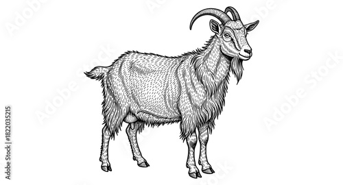Detailed black and white goat drawing with intricate fur texture