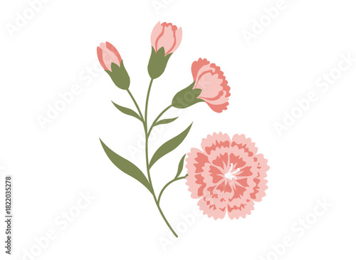 A hand‑drawn depiction of a pink Eustoma (lisianthus) blooming flower on a white background, rendered naturally as a cultivated garden plant for floristry, presented in a realistic antique style