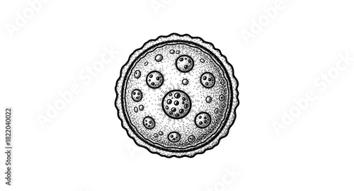 Hand drawn detailed black and white pizza slice with toppings on white background