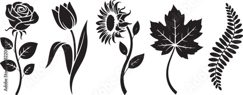 Collection of Black Silhouette Flowers and Leaves black and white