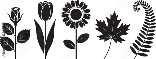 Silhouette Collection Of Flowers And Leaves Keywords: silhouette, flowers, leaves, rose, tulip