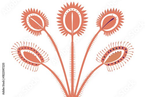 Stylized illustration of five venus flytrap carnivorous plants with orangepink traps and spiky edges, depicted in a graphic, minimalist style and