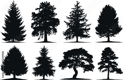 Set of different tree shapes and silhouettes