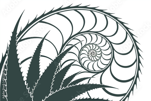 Stylized dark green silhouette of an aloe vera plant leaf overlapping a detailed black and white logarithmic spiral or nautilus shell pattern