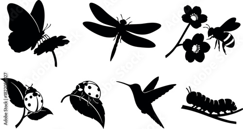 Insect silhouettes collection butterfly dragonfly bee ladybug hummingbird caterpillar flower vector illustration