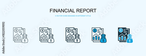 Financial Report Icon Different Style Vector Illustration
