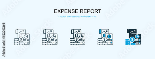 Expense Report Icon Different Style Vector Illustration