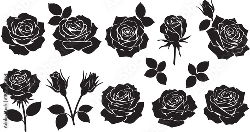 Collection of Black Silhouette Rose Flowers and Buds on White Background vector illustration on transparent background