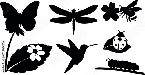 Insect silhouettes butterfly dragonfly bee ladybug hummingbird caterpillar flower vector illustration black white