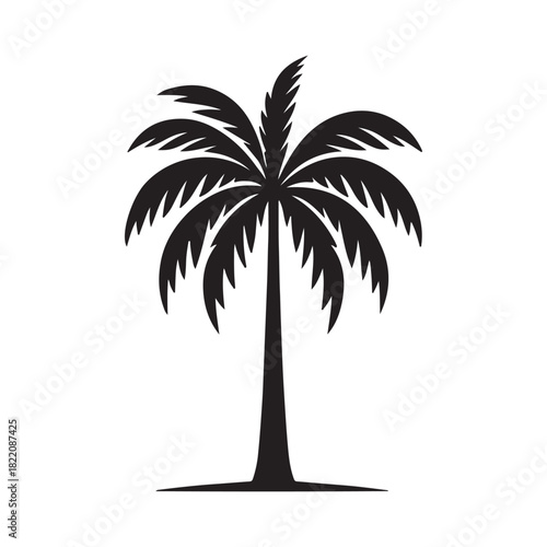 Silhouette of a tropical palm tree against a white background.