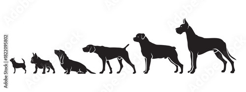 Dog Silhouette Size Comparison Set – Pet Breed Outline Vector Icons