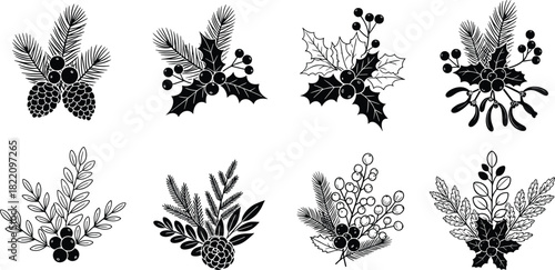 Christmas botanical berry arrangements with pine branches, holly leaves, mistletoe sprigs, winter foliage, holiday floral decorative elements