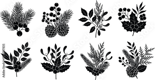 Hand drawn winter botanical foliage silhouettes with pine branches, berries, holly leaves, mistletoe and evergreen festive elements