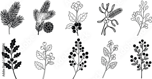 Winter botanical foliage clipart set featuring holly, pine branches, mistletoe, berries, and festive greenery in seasonal decorative style