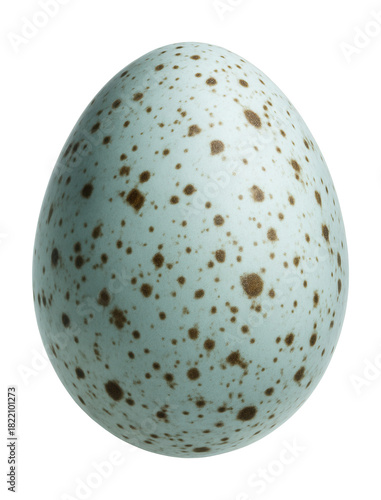 Pale blue egg with dark brown speckles, oval in shape.