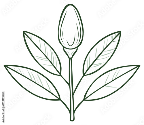 Aesthetic plant sprout with leaves illustration, vector drawing of seedling with pointy petals, minimalistic natural symbol.