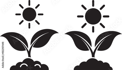 Two growing plants under the sun silhouette