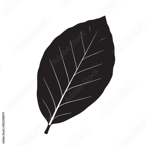Beech Leaf Silhouette Vector, Flat Beech Tree Leaf Black Illustration, Beech Leaf Botanical Shape Design