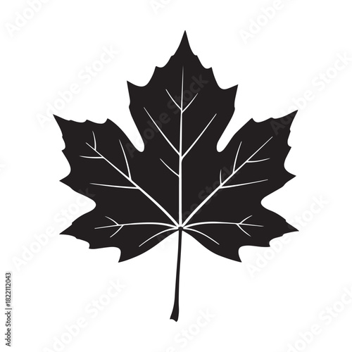 Plane Tree Leaf Silhouette Vector, Flat Sycamore Plane Leaf Black Illustration, Plane Tree Leaf Botanical Shape Design