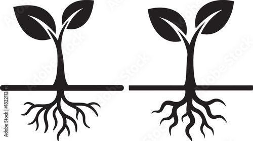 Two young plants with visible roots growing from soil silhouette