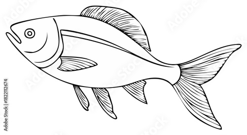 Simple Outline Drawing of a Swimming Fish Aquatic Animal Vector Art