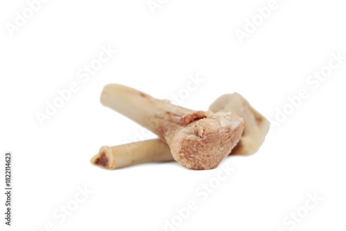 the broken single chicken bone