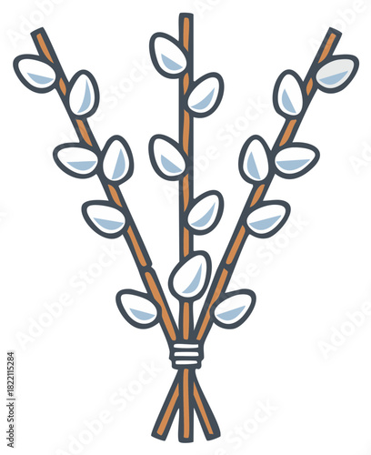 Three sprigs of pussy willow illustration for spring holidays, Easter, or Palm Sunday design elements, seasonal decoration